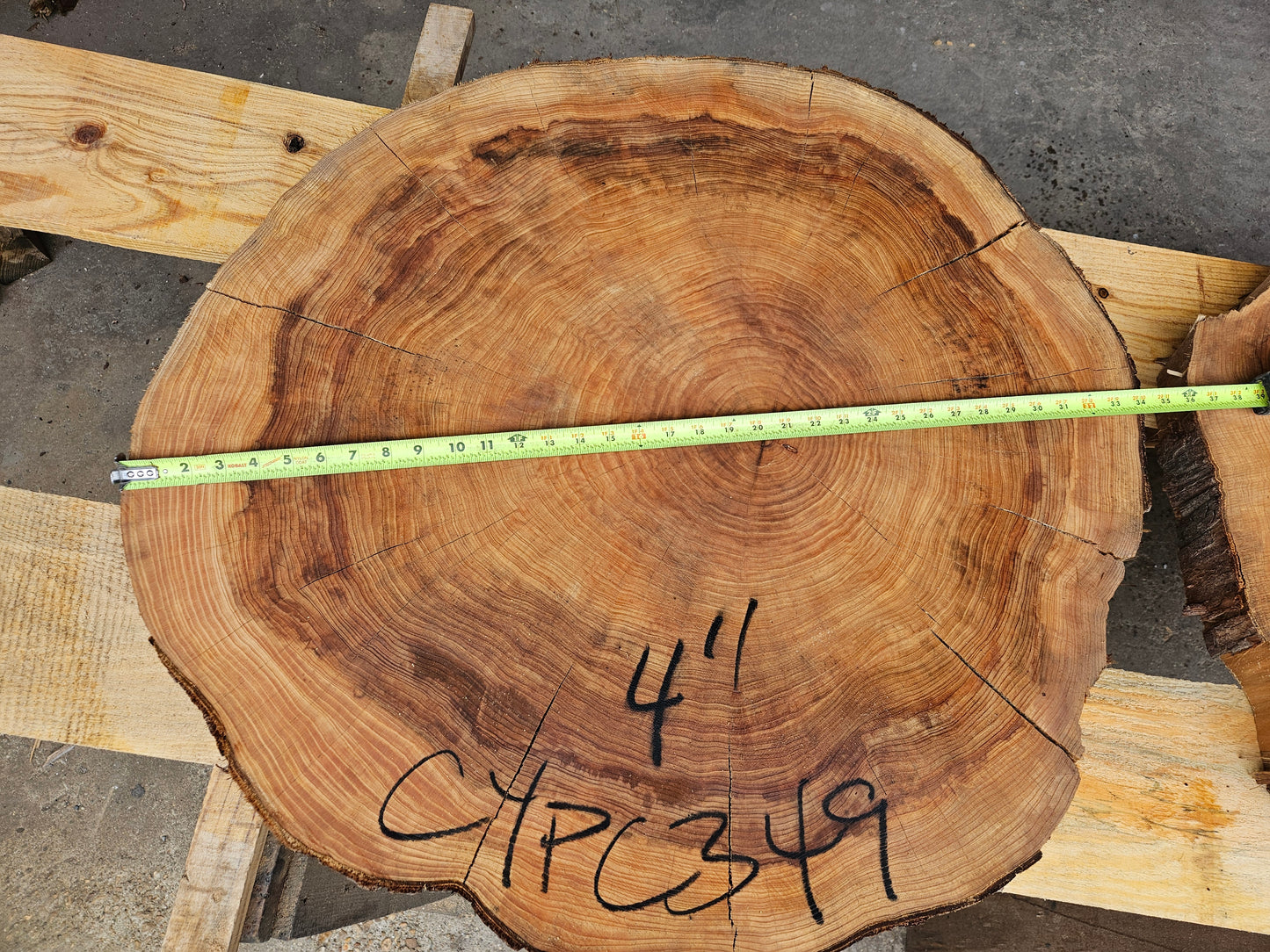 Cypress Cookie CYPC349