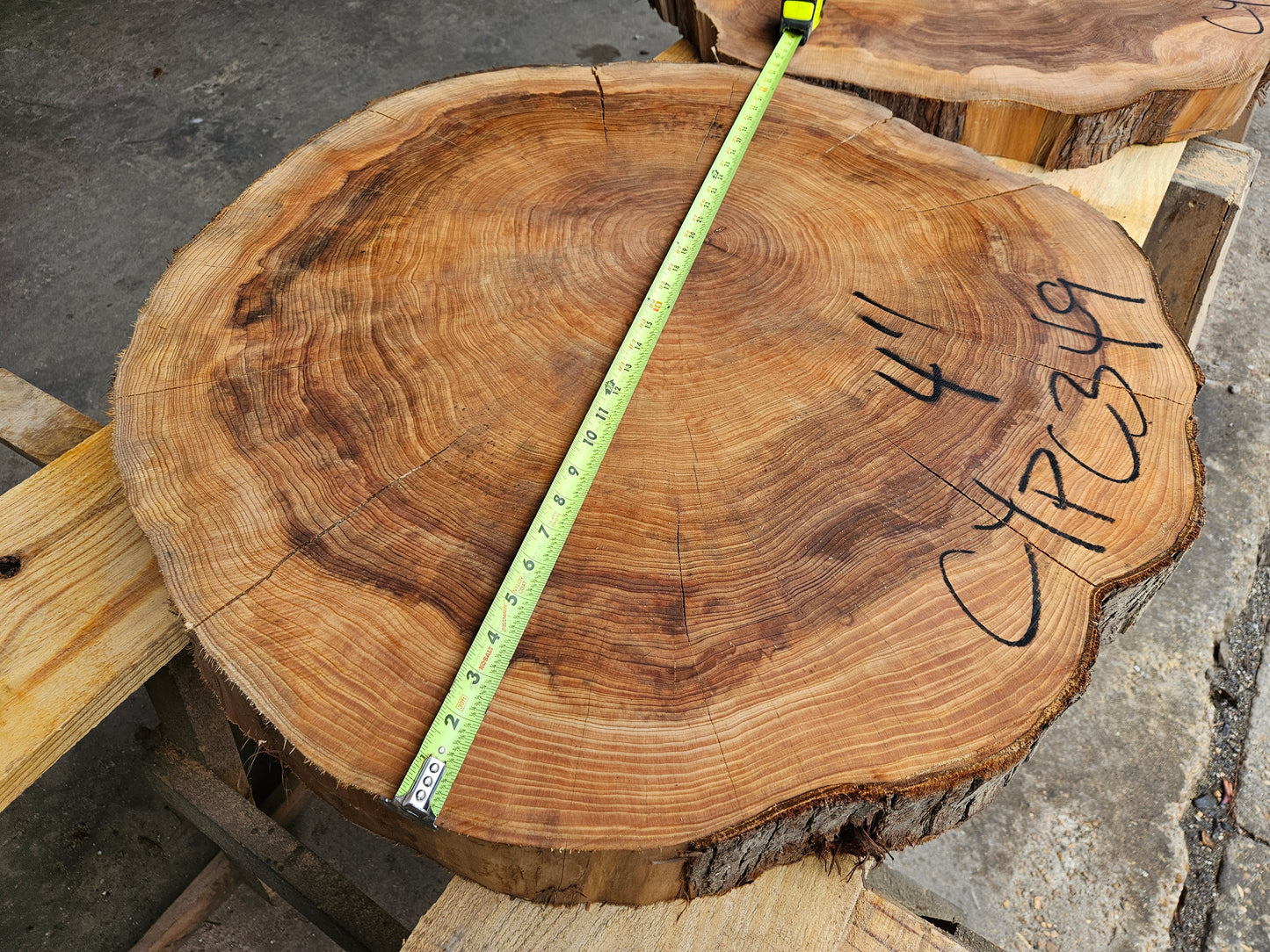 Cypress Cookie CYPC349